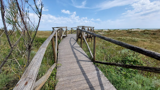 Coastal Botanical Garden of Veneto - Thumbnail