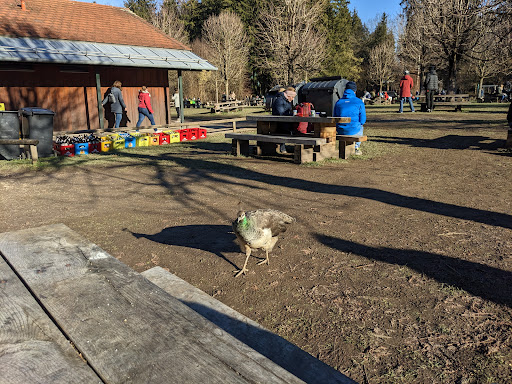 Kiosk Wildpark - Thumbnail