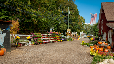 Eden Farms