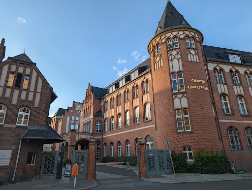 Charité Campus Mitte - Visual
