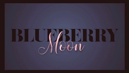 Blueberry Moon salon de coiffure Saint louis