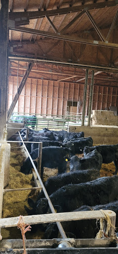 Mckillip's Feedlot - Thumbnail