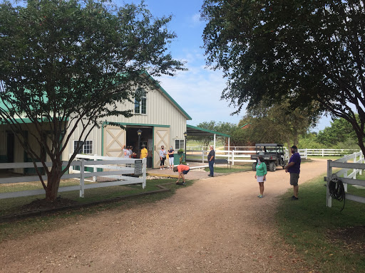 Peeka Ranch - Visual
