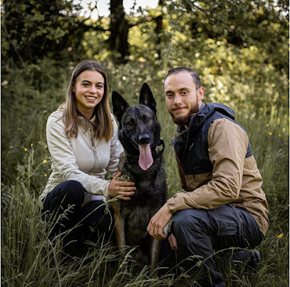 Comme Cha et Chiens