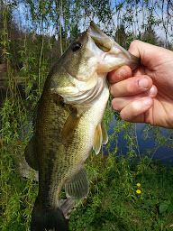 Photo n°50 de Domaine du Moulin de Lachaud à Sainte-Fortunade (Restaurant français)