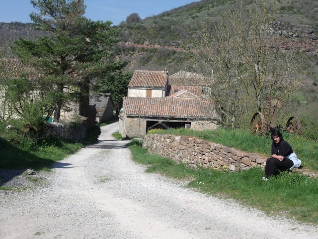 Chateau de Montaigut