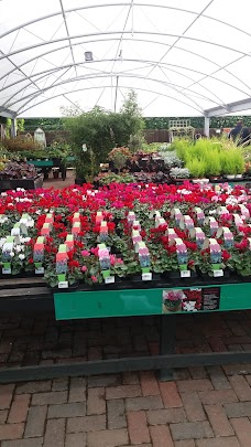 Oakington Garden Centre & Olive Tree Cafe cambridge