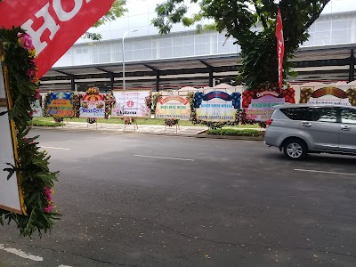 Photos of Honda Royal Wiyung
