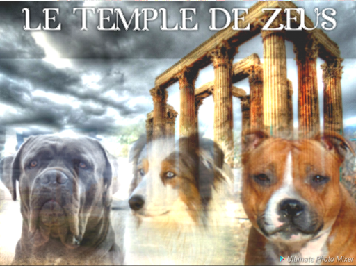Elevage du temple de zeus