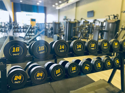 Academia Over Fit Caieiras