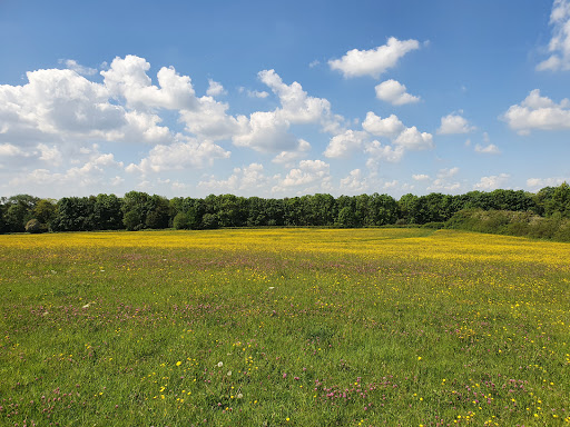 Shipley Country Park Gallery - United Kingdom