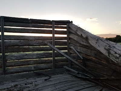 New Canyon National Forest Access