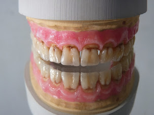 Photo n°1 de Vincent Guilloux à Lorient (Centre de prothèses dentaires)