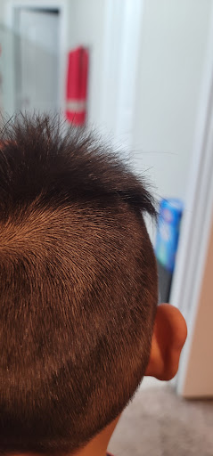 Curly and Spikey - Thumbnail