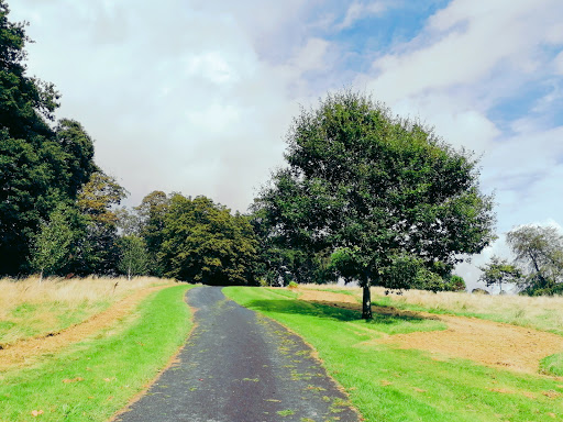 Parc Singleton Park - Visual