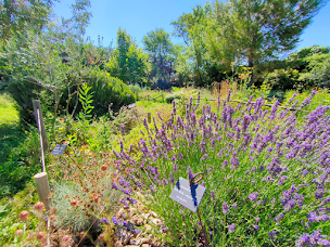 Photo n°20 de Le Naturoptère à Sérignan-du-Comtat (Attraction touristique)