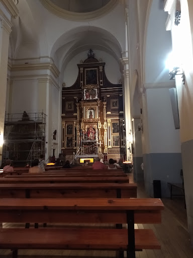 Cedros centenarios - Thumbnail