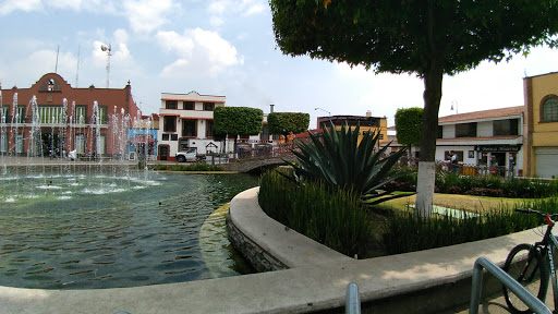 Municipio de Metepec - Thumbnail