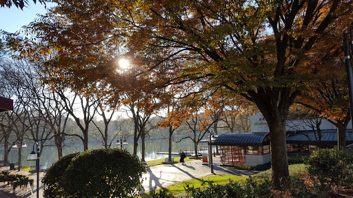 The Columbia Center for Integrative Medicine