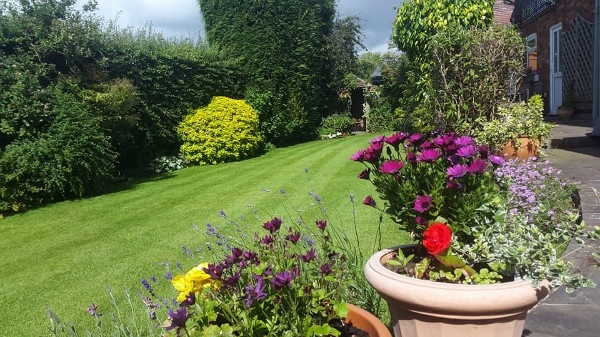 Total Care Garden Maintenance - Landscaper