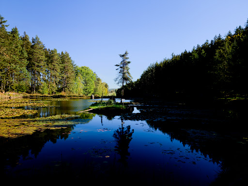 Seerosenteich an der Winde - Thumbnail