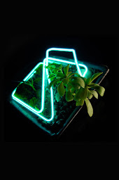 Photo n°9 de GLASSBLOWING / Soufflage de verre à Marseille (Graveur)