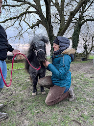 Photo n°21 de Laura Msika ostéopathe animalier OISE à Coye-la-Forêt (Ostéopathe)