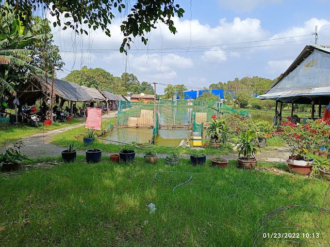 Hồ câu Út Phương