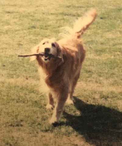 Apponaug Animal Hospital