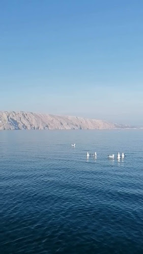 Restaurant "Adriatic" - Restoran