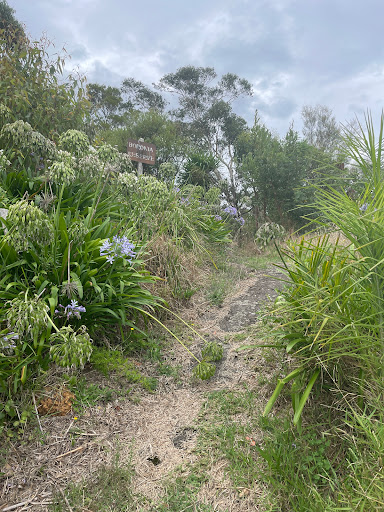 Boronia Reserve - Thumbnail