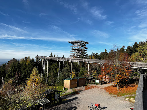"Waldturm" Erlebnisturm