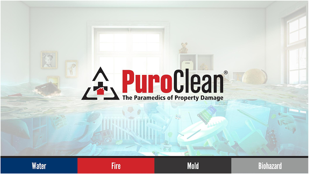 PuroClean of Reading photo