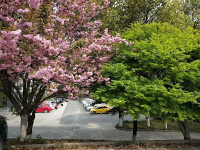Photos of 江苏大学 Jiangsu University