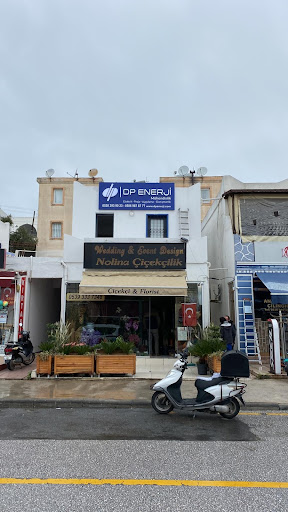 DP ENERJİ ELEKTRİK İNŞAAT VE SAN. TİC. LTD. ŞTİ