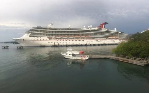Cruise Planners - Travel Bugs - United States