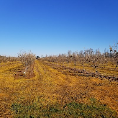 Irish Bend County Park