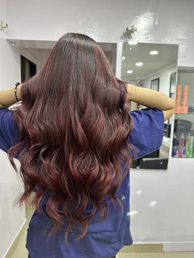 Gallery image 501