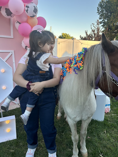 Long Island Pony Parties & Petting Zoo