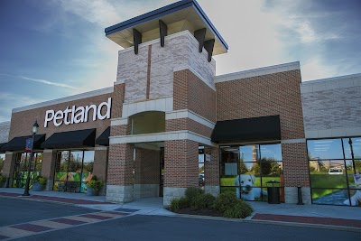 Petland Florence