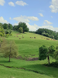 Photo n°6 de Ferme de la revole Michel Laurent à Primarette (Ferme d'élevage)