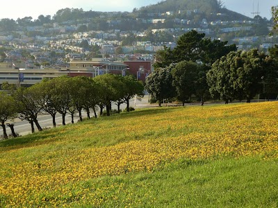 City College of San Francisco