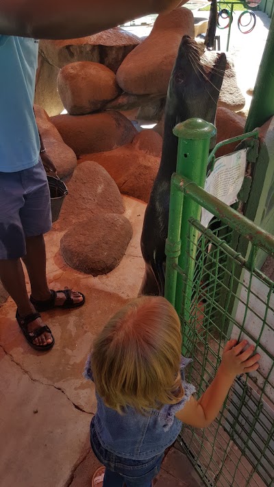 Photos of Hartbeespoortdam Aquarium