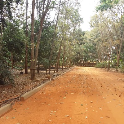 Photos of Frutaria Quinta Amiese/ Sabao DA TERRA