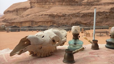 Photos of Dissay Caravan Camp
