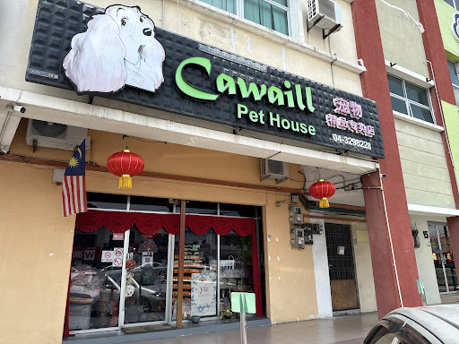 Cawaill Pet House