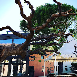 Photo n°36 de IBS of Provence à Aix-en-Provence (École internationale)