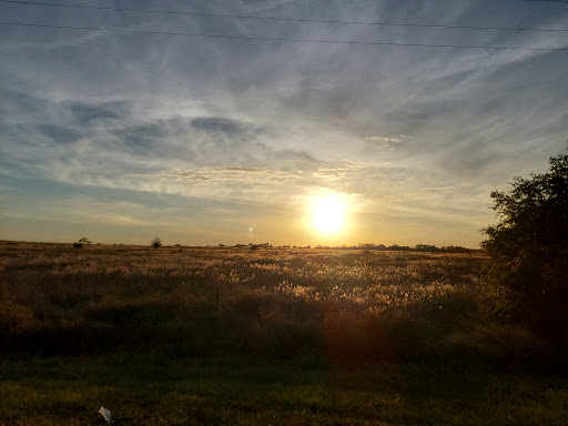 Lake Wales Ridge Wildlife and Environmental Area - Messana - Thumbnail