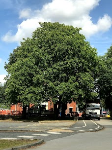 Seacroft Hospital york