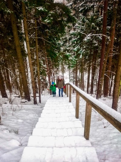 Photos of Saidės pažintinis takas